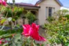 2 Parkes Street, Cowra, NSW 2794-Image
