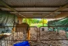 2 Phoebe Court, Knuckey Lagoon, NT 0828-Image