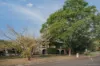 2 Poolya Avenue, East Tamworth, NSW 2340-Image