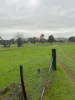 2 Queen Street, Barraba, NSW 2347-Image