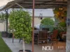 2 Raymond Street, North Ipswich, Qld 4305-Image