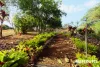 2 Red Gully Place, Childers, Qld 4660-Image