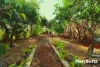 2 Red Gully Place, Childers, Qld 4660-Image