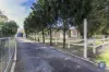 2 Ribands Way, Cowra, NSW 2794