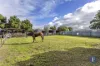 2 Ribands Way, Cowra, NSW 2794-Image