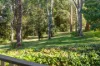 2 Ringwood Place, Bellingen, NSW 2454-Image
