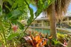 2 Rogers Close, Whitfield, Qld 4870-Image