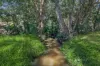 2 Rohlf Street, Dayboro, Qld 4521-Image