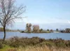 2 Roy Road, Coodanup, WA 6210-Image