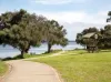 2 Roy Road, Coodanup, WA 6210-Image