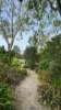 2 Russell Street, Mount Perry, Qld 4671-Image