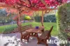 2 Ruwoldt Place, Kambah, ACT 2902-Image