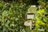 2 Salisbury Road, Beaconsfield Upper, Vic 3808-Image