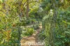 2 Sandhurst Crescent, Glenhaven, NSW 2156-Image