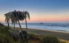 2 Sapphire Crescent, Sapphire Beach, NSW 2450