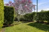 2 Shiel Street, Rangeville, Qld 4350-Image