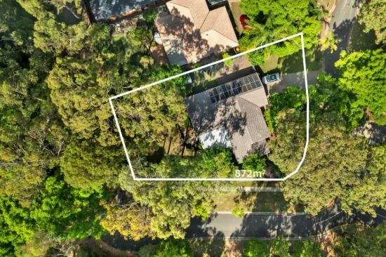 2 Springfield Place, Forest Lake, Qld 4078