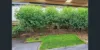 2 St Andrews Way, Fletcher, NSW 2287-Image