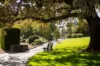 2 Stallion Avenue, Doncaster, Vic 3108-Image