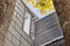 2 Susan Lane, Annandale, NSW 2038-Image