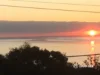 2 The Boulevard, McCrae, Vic 3938-Image