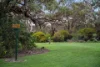 2 The Common, Beaumont SA 5066-Image