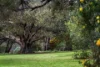 2 The Common, Beaumont SA 5066-Image