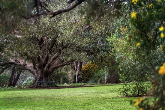 2 The Common, Beaumont SA 5066-Image