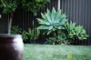 2 Topaz Place, Bossley Park, NSW 2176-Image