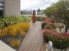 2 Torney Street, Cranbourne East, Vic 3977-Image