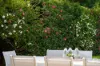 2 Torres Place, St Ives, NSW 2075-Image