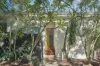 2 Vicars Avenue, North Bondi, NSW 2026-Image