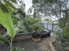 2 Vowles Street, Dalby, Qld 4405-Image