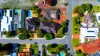 2 Wareana Street, Menora, WA 6050-Image