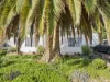 2 Warmatta Street, Finley, NSW 2713-Image