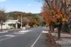 2 Welbourne Street, Mitcham, SA 5062-Image