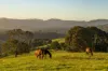 2 Whian Road, Eureka, NSW 2480-Image