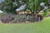 2 Whissen Court, Collingwood Park, Qld 4301-Image