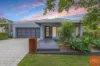 2 Whitetip Street, Chisholm, NSW 2322