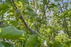 2 Wyburton Place, Margate, Tas 7054-Image