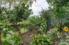2 Wyper Street, Bundaberg South QLD 4670-Image