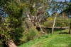 20-24 Mill Road, Kilmore, Vic 3764-Image
