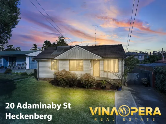 20 Adaminaby Street, Heckenberg, NSW 2168