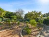 20 Albert Street, Youngtown, Tas 7249-Image