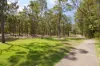 20 Allspice Drive, Ashmore, Qld 4214-Image
