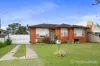 20 Apex Street, Liverpool, NSW 2170