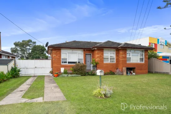 20 Apex Street, Liverpool, NSW 2170