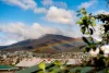 20 Ashbolt Crescent, Lutana, Tas 7009-Image