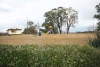 20 Banks Place, Camden South NSW 2570-Image