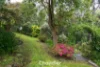 20 Belgrave-Gembrook Road, Belgrave, Vic 3160-Image